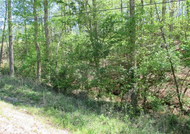Photo 3 of Land for sale at 000 Morrison Moore Pkwy E, Dahlonega, GA 30533 | MLS# 7755301 | Listing updated on 2026-04-18