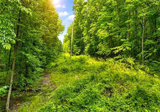 Photo 2 of Land for sale at 00 Hwy 2 Parcel 1120913000, Cohutta, GA 30710 | MLS# 7809186 | Listing updated on 2026-09-03