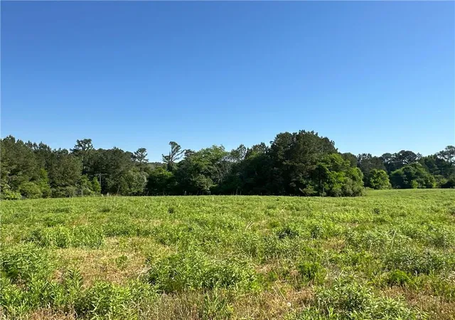 Homes for sale in Taylorsville, GA | Tract 3 120 Popham Road, Taylorsville, GA 30178 | MLS# 7790683