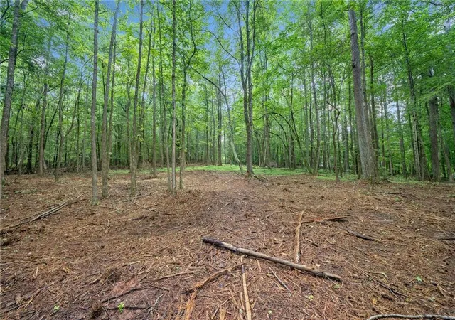 3rd image of 230 Brock Trl, Milton, GA 30004 | MLS# 7633465