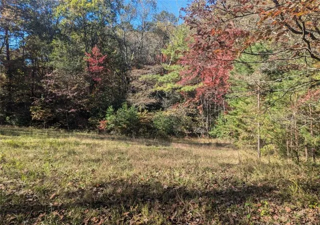Photo 3 of Land for sale at 2689 Shadow Ln, Blue Ridge, GA 30513 | MLS# 7671304 | Listing updated on 2025-10-24