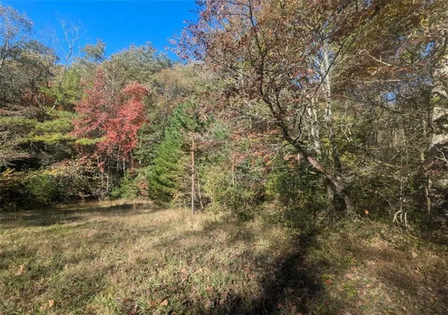 Photo 3 of Land for sale at 2689 Shadow Ln, Blue Ridge, GA 30513 | MLS# 7671304 | Listing updated on 2025-10-24
