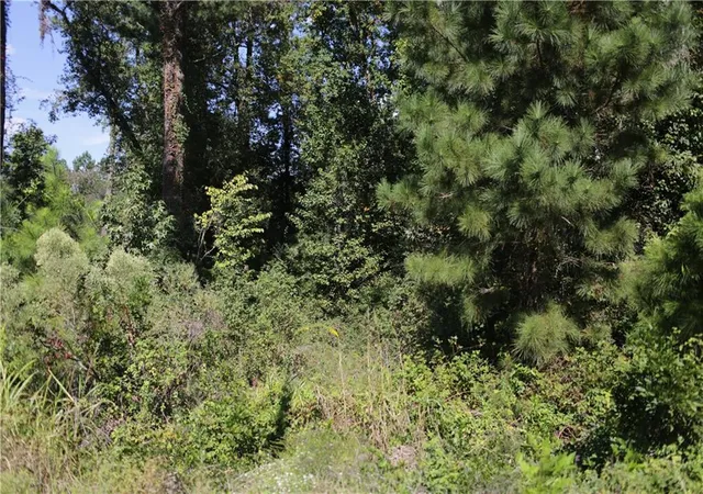 2nd image of 3605 Wrightsboro Rd, Augusta, GA 30909 | MLS# 7303472
