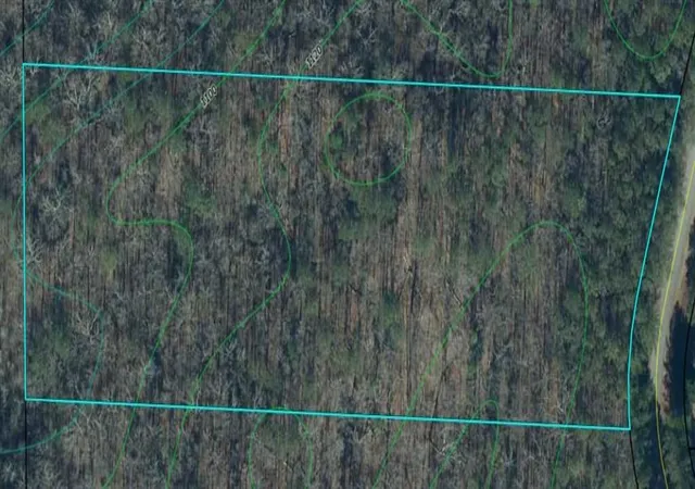 Homes for sale in Buchanan, GA | Tbd Wildcat Rd, Buchanan, GA 30113 | MLS# 7801451