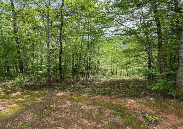 Photo 1 of Sale Pending at 205 White Birch Dr, Covington, GA 30016 | MLS# 7813830 | Listing updated on 2026-09-22