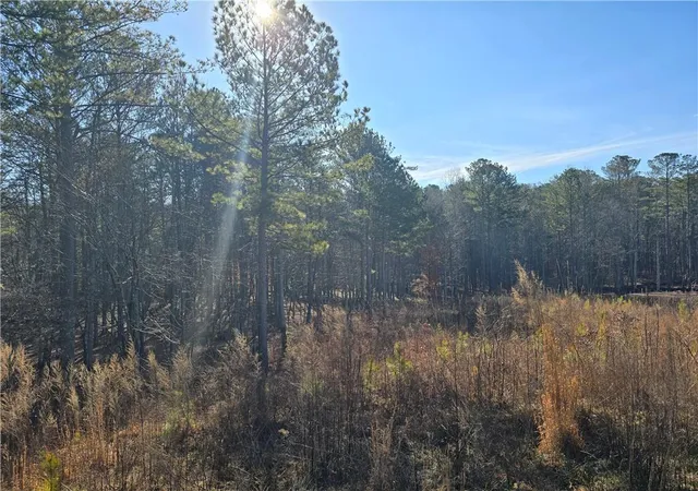 3rd image of 00000 Highgrove Dr, Talking Rock, GA 30175 | MLS# 7516478