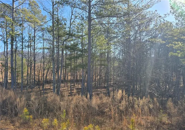 4th image of 00000 Highgrove Dr, Talking Rock, GA 30175 | MLS# 7516478