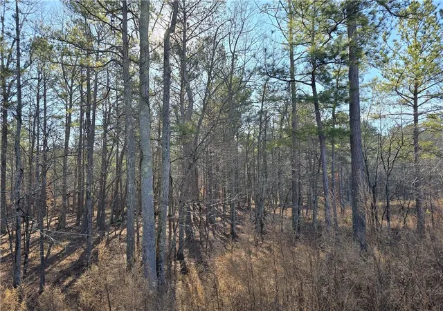 5th image of 00000 Highgrove Dr, Talking Rock, GA 30175 | MLS# 7516478