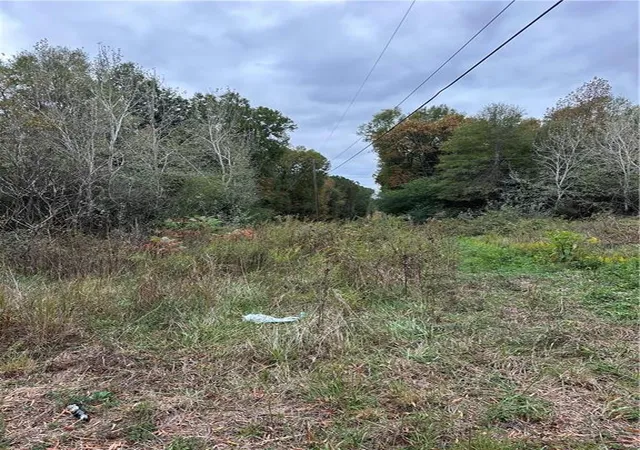 4th image of 0 Benefield Rd, Cedartown, GA 30125 | MLS# 7479734