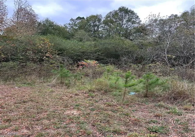 5th image of 0 Benefield Rd, Cedartown, GA 30125 | MLS# 7479734