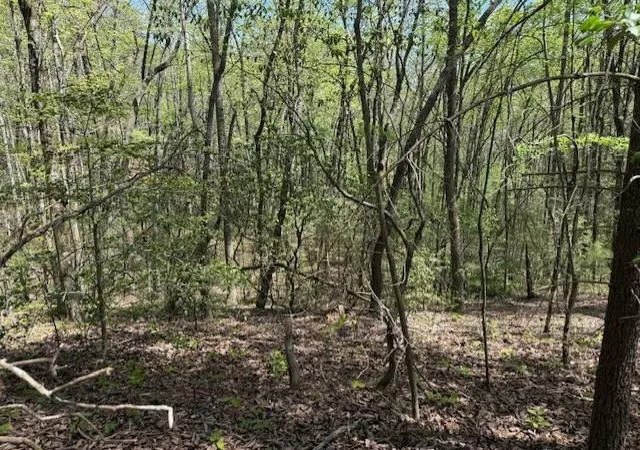 2nd image of Lot 5 Marjorie Ave, Ellijay, GA 30536 | MLS# 7756722