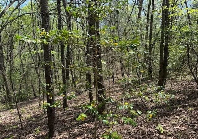 Photo 3 of Land for sale at Lot 5 Marjorie Ave, Ellijay, GA 30536 | MLS# 7756722 | Listing updated on 2026-04-21