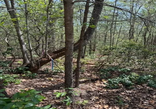 4th image of Lot 5 Marjorie Ave, Ellijay, GA 30536 | MLS# 7756722