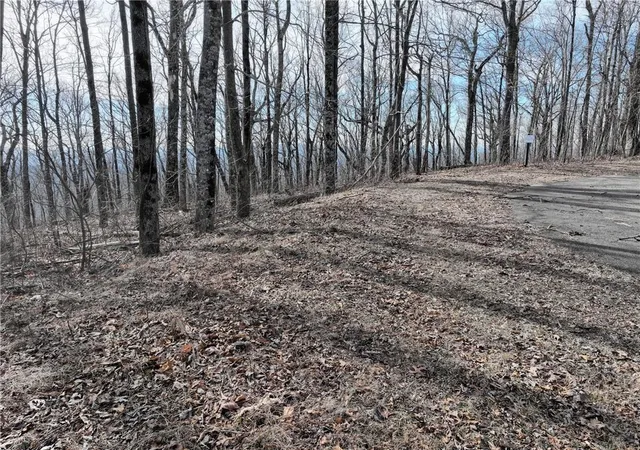 Photo 1 of Land for sale at 256 Blood Root Trl, Ellijay, GA 30536 | MLS# 7788916 | Listing updated on 2026-10-29