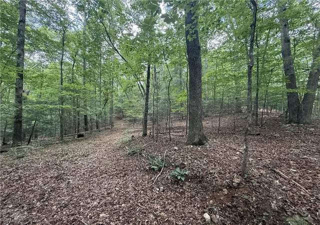 Photo 3 of Land for sale at 0 Yahoola Indian Rd, Dahlonega, GA 30533 | MLS# 7809302 | Listing updated on 2026-08-19