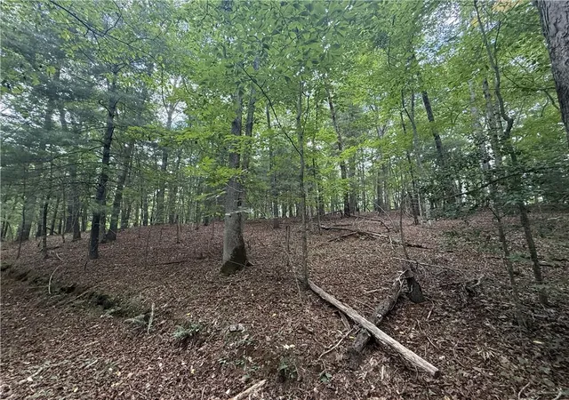Photo 4 of Land for sale at 0 Yahoola Indian Rd, Dahlonega, GA 30533 | MLS# 7809302 | Listing updated on 2026-08-19