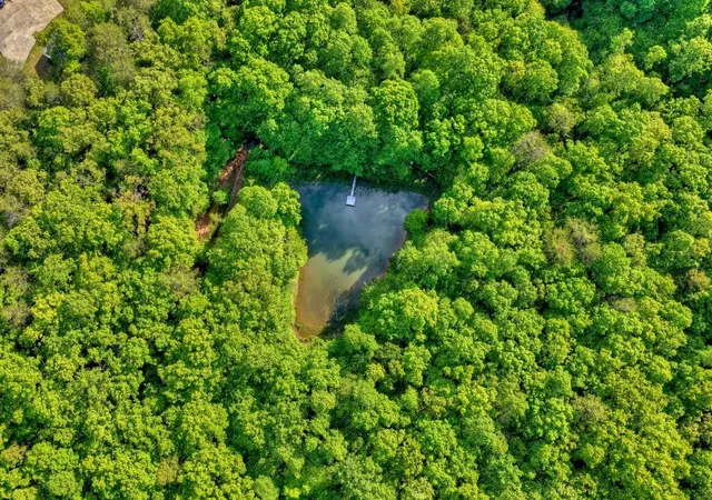 1st image of 8 Ac Mcnelley Rd, Morganton, GA 30560 | MLS# 7749344