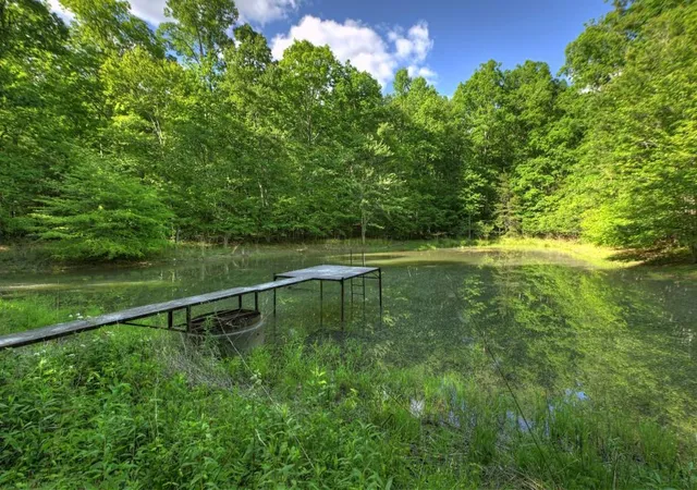 3rd image of 8 Ac Mcnelley Rd, Morganton, GA 30560 | MLS# 7749344