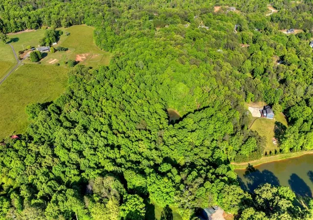 47th image of 8 Ac Mcnelley Rd, Morganton, GA 30560 | MLS# 7749344