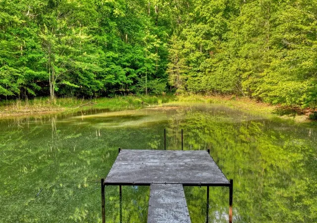 4th image of 8 Ac Mcnelley Rd, Morganton, GA 30560 | MLS# 7749344