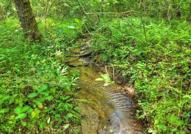 5th image of 8 Ac Mcnelley Rd, Morganton, GA 30560 | MLS# 7749344