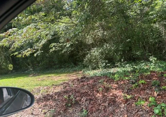 4th image of 0 Tye St, Stockbridge, GA 30281 | MLS# 7823100