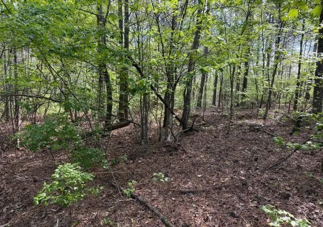 Photo 3 of Land for sale at 84 Popham Rd Tract 3, Taylorsville, GA 30178 | MLS# 7742886 | Listing updated on 2026-07-10