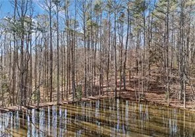 4th image of 428 Dogwood Dr, Canton, GA 30114 | MLS# 7812606