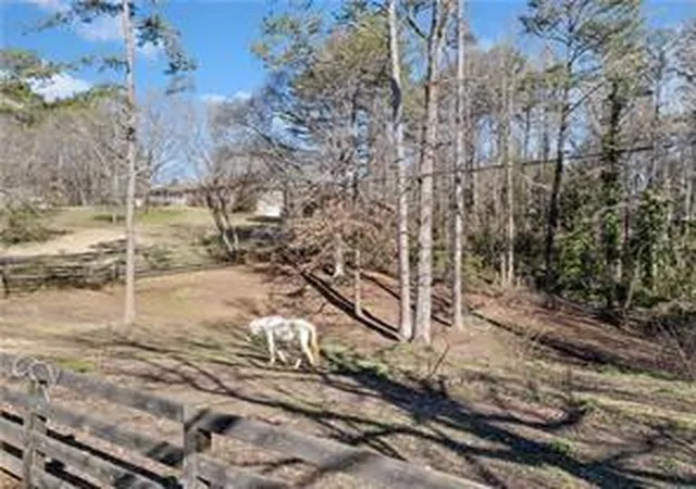 9th image of 428 Dogwood Dr, Canton, GA 30114 | MLS# 7812606