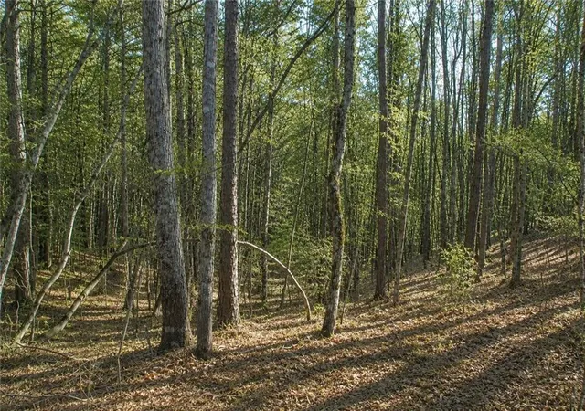 Homes for sale in Dawsonville, GA | Lot 24 Waldrip Rd, Dawsonville, GA 30534 | MLS# 7799964