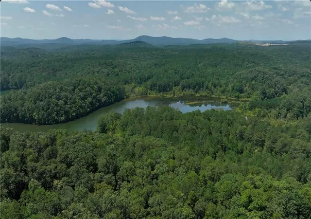 32nd image of 16 Hawks Branch Ln, White, GA 30184 | MLS# 7258817