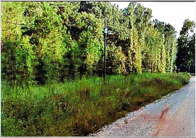 Photo 2 of Land for sale at 0 Felton Mcmichael Rd Landlot 090 091, Monticello, GA 31064 | MLS# 7793735 | Listing updated on 2026-10-01