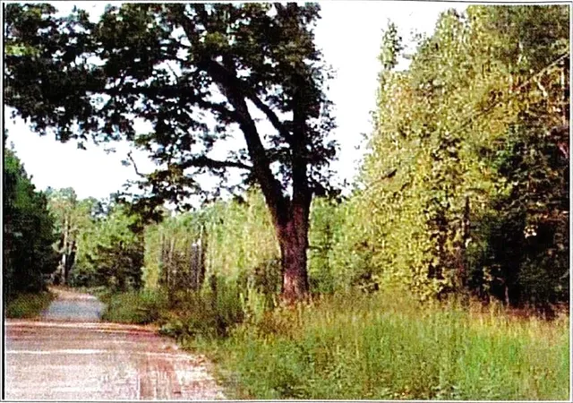 Photo 3 of Land for sale at 0 Felton Mcmichael Rd Landlot 090 091, Monticello, GA 31064 | MLS# 7793735 | Listing updated on 2026-10-01