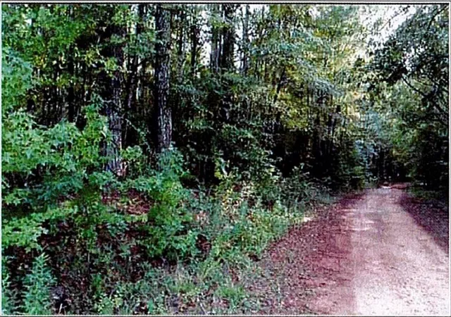 Photo 3 of Land for sale at 0 Felton Mcmichael Rd Landlot 090 091, Monticello, GA 31064 | MLS# 7793735 | Listing updated on 2026-10-01