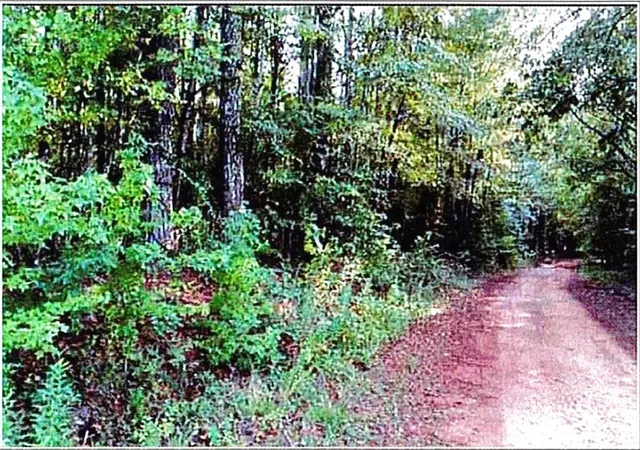 Photo 4 of Land for sale at 0 Felton Mcmichael Rd Landlot 090 091, Monticello, GA 31064 | MLS# 7793735 | Listing updated on 2026-10-01