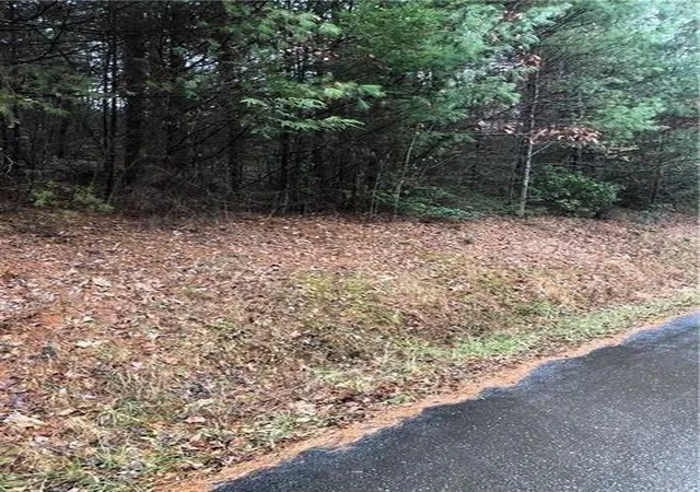2nd image of 00 Flag Pole Cir, Ellijay, GA 30540 | MLS# 7809395