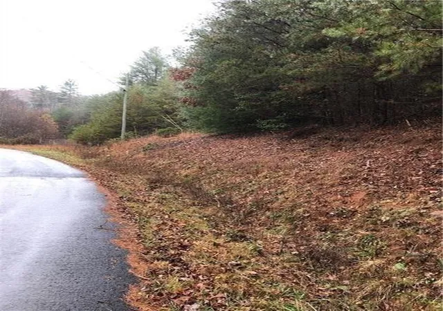 Photo 3 of Land for sale at 00 Flag Pole Cir, Ellijay, GA 30540 | MLS# 7809395 | Listing updated on 2026-07-28
