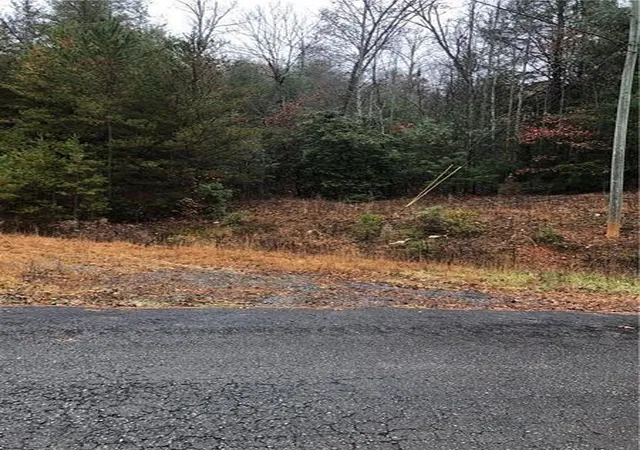 4th image of 00 Flag Pole Cir, Ellijay, GA 30540 | MLS# 7809395