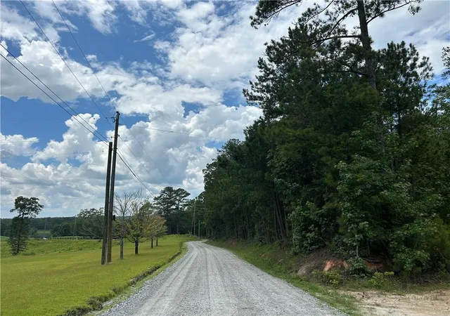 Photo 2 of Land for sale at 0 Hamilton Rd, Palmetto, GA 30268 | MLS# 7803173 | Listing updated on 2026-07-18
