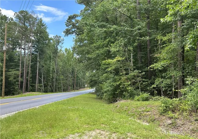 Photo 3 of Land for sale at 0 Hamilton Rd, Palmetto, GA 30268 | MLS# 7803173 | Listing updated on 2026-07-18