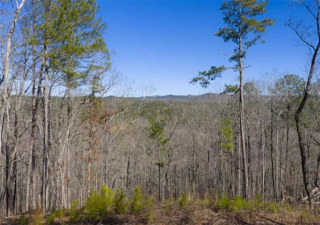 Photo 2 of Land for sale at Lt 285 Anglers Ridge Rd, Talking Rock, GA 30175 | MLS# 7720363 | Listing updated on 2026-08-21