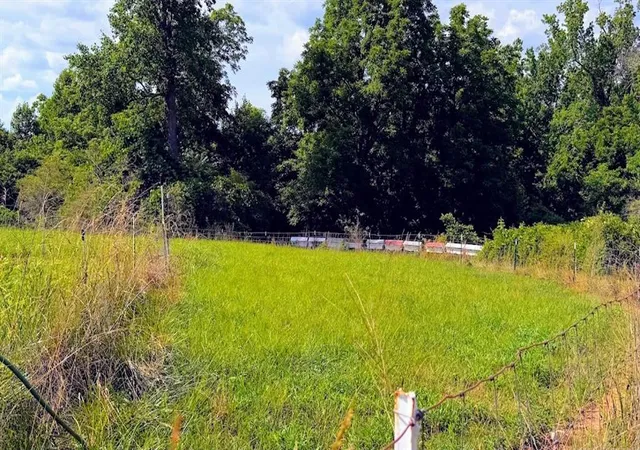 Homes for sale in Bremen, GA | 380 Nix Rd, Bremen, GA 30110 | MLS# 7788500
