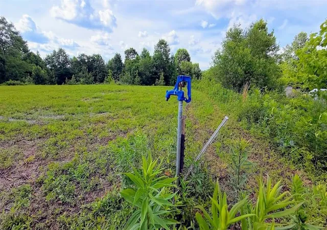 Homes for sale in Bremen, GA | 380 Nix Rd, Bremen, GA 30110 | MLS# 7788500