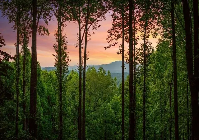 Photo 2 of Sale Pending at 391 Little Bushy Head Rd, Blue Ridge, GA 30513 | MLS# 7786467 | Listing updated on 2026-10-13