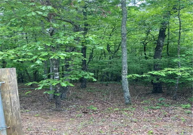 Photo 3 of Land for sale at 00 Crst View Dr, Dahlonega, GA 30533 | MLS# 7768468 | Listing updated on 2026-06-10