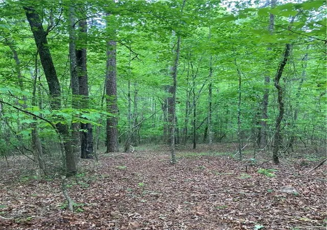 Photo 4 of Land for sale at 00 Crst View Dr, Dahlonega, GA 30533 | MLS# 7768468 | Listing updated on 2026-06-10