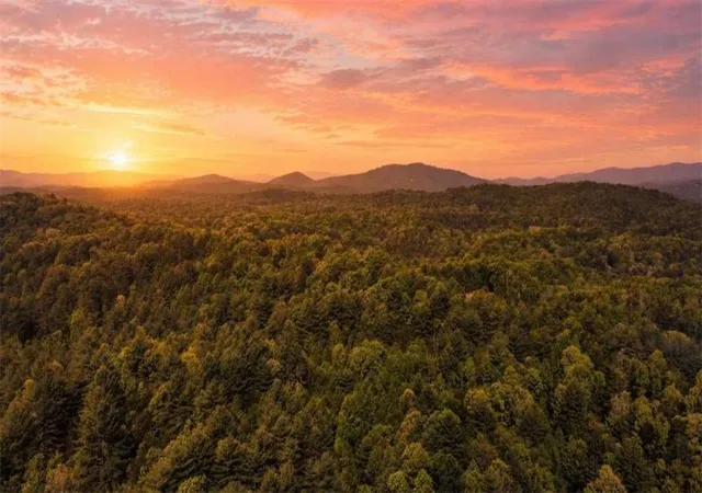 1st image of 40 Ac Valley Lake Rd, Mineral Bluff, GA 30559 | MLS# 7820119