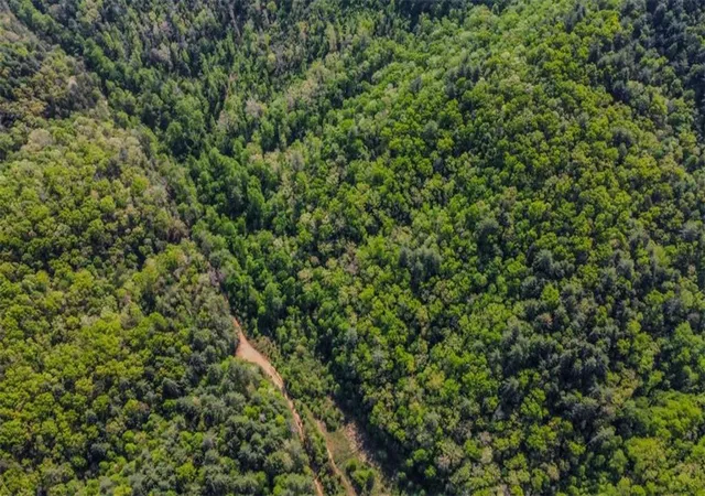3rd image of 40 Ac Valley Lake Rd, Mineral Bluff, GA 30559 | MLS# 7820119