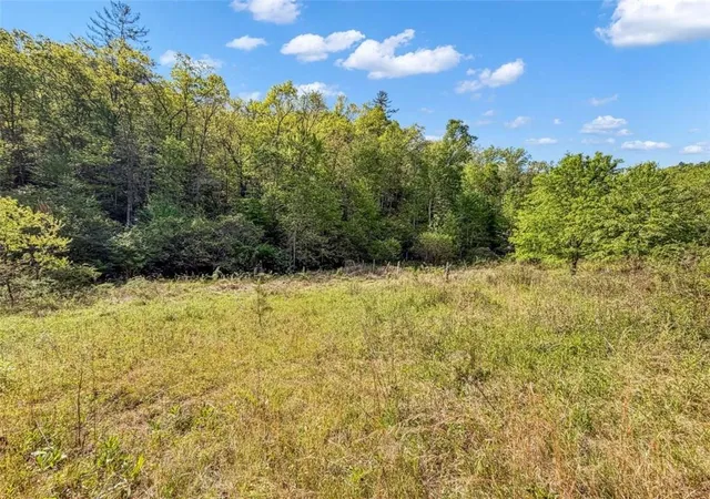 4th image of 40 Ac Valley Lake Rd, Mineral Bluff, GA 30559 | MLS# 7820119