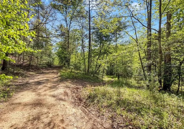 5th image of 40 Ac Valley Lake Rd, Mineral Bluff, GA 30559 | MLS# 7820119